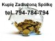 Zobacz og�oszenie